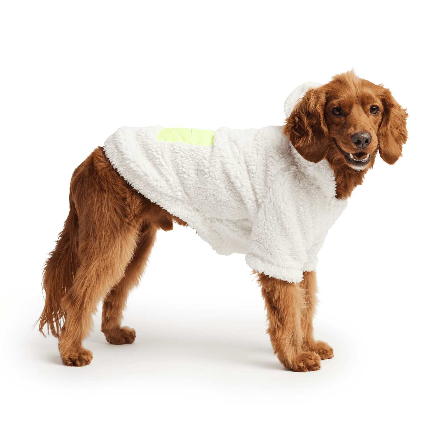 Dog and Pet Stuff Cozy Hoodie - White
