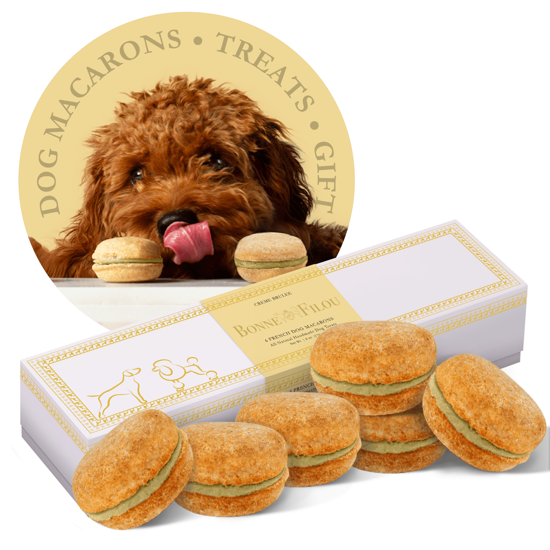 Dog and Pet Stuff Crème brûlée Dog Macarons (Box of 6)