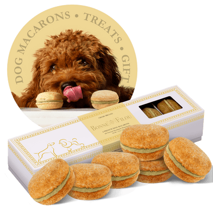 Dog and Pet Stuff Creme Brulee Dog Macarons (Count of 6 - window in packaging)