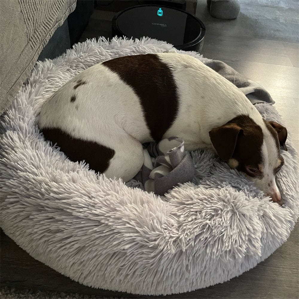Dog and Pet Stuff Dark Grey / 100CM Pet Sleeping Bed