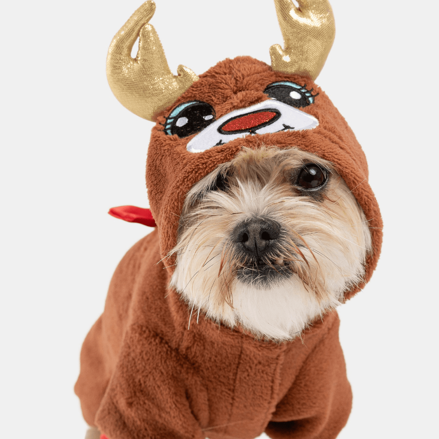 Dog and Pet Stuff Default Buy One Dog Onesie Reindeer Get Free Human Matching