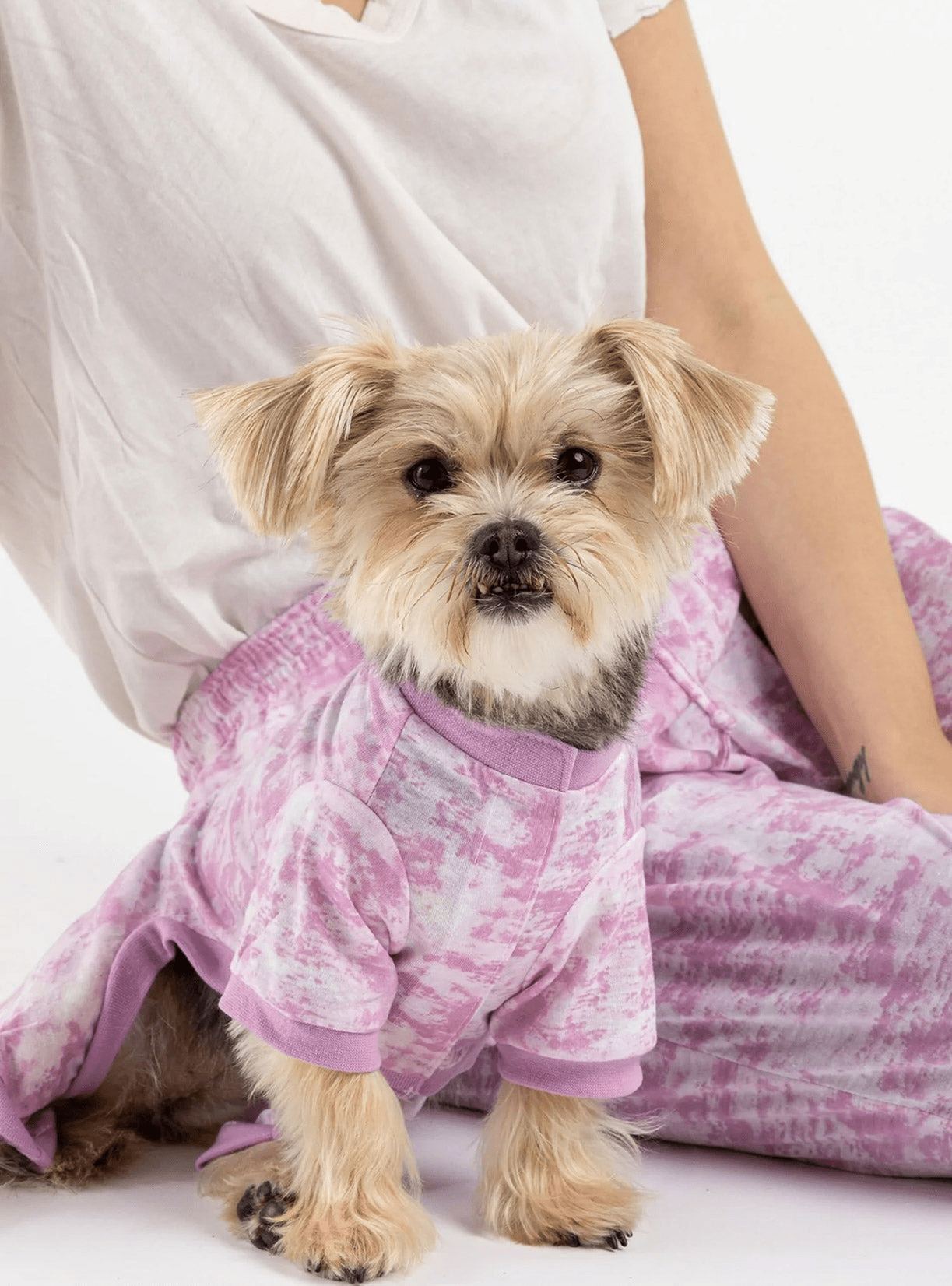Dog and Pet Stuff Default Buy One Dog Pink Tie Dye PJ Get Free Human Matching