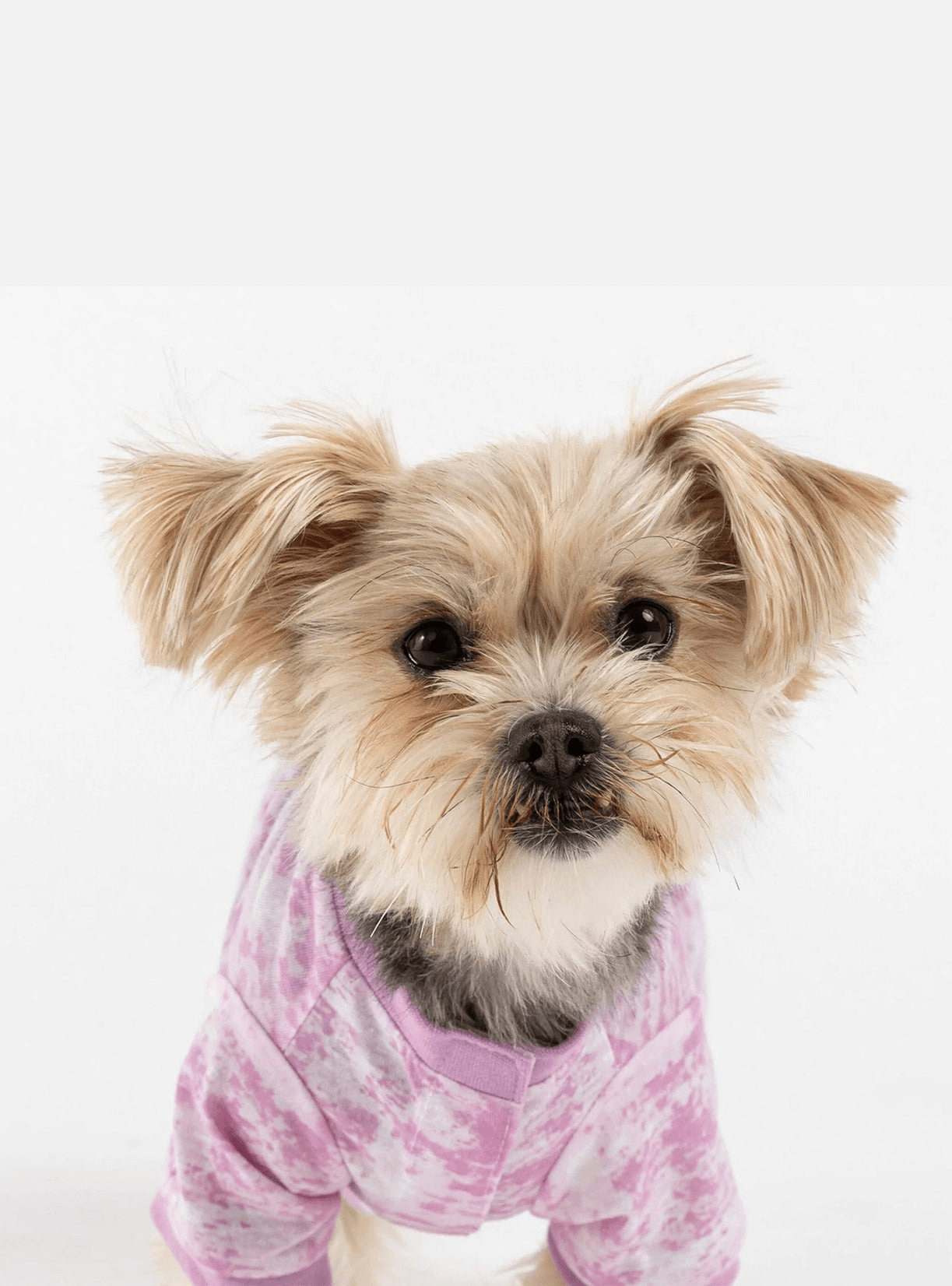 Dog and Pet Stuff Default Buy One Dog Pink Tie Dye PJ Get Free Human Matching