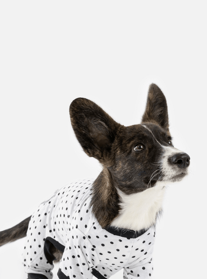 Dog and Pet Stuff Default Buy One Dog Polka Dot PJ Get Free Human Matching