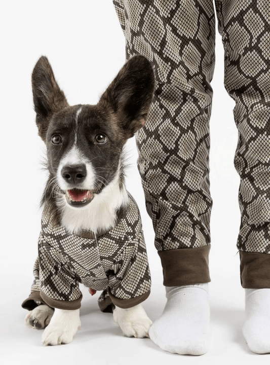 Dog and Pet Stuff Default Buy One Dog Snakeskin PJ Get Free Human Matching