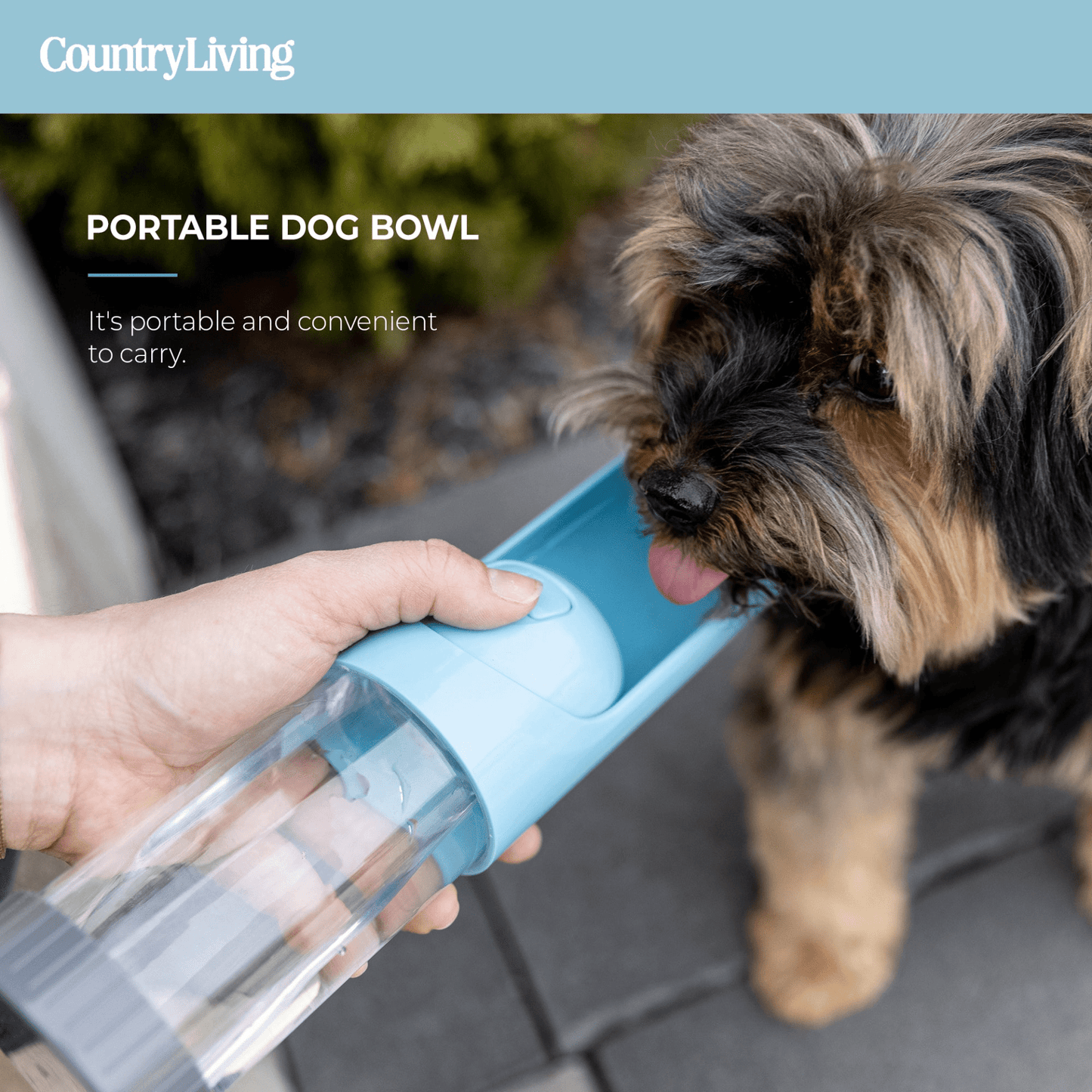 Dog and Pet Stuff Default Portable Dog Water Bottle- with Charcoal Filter