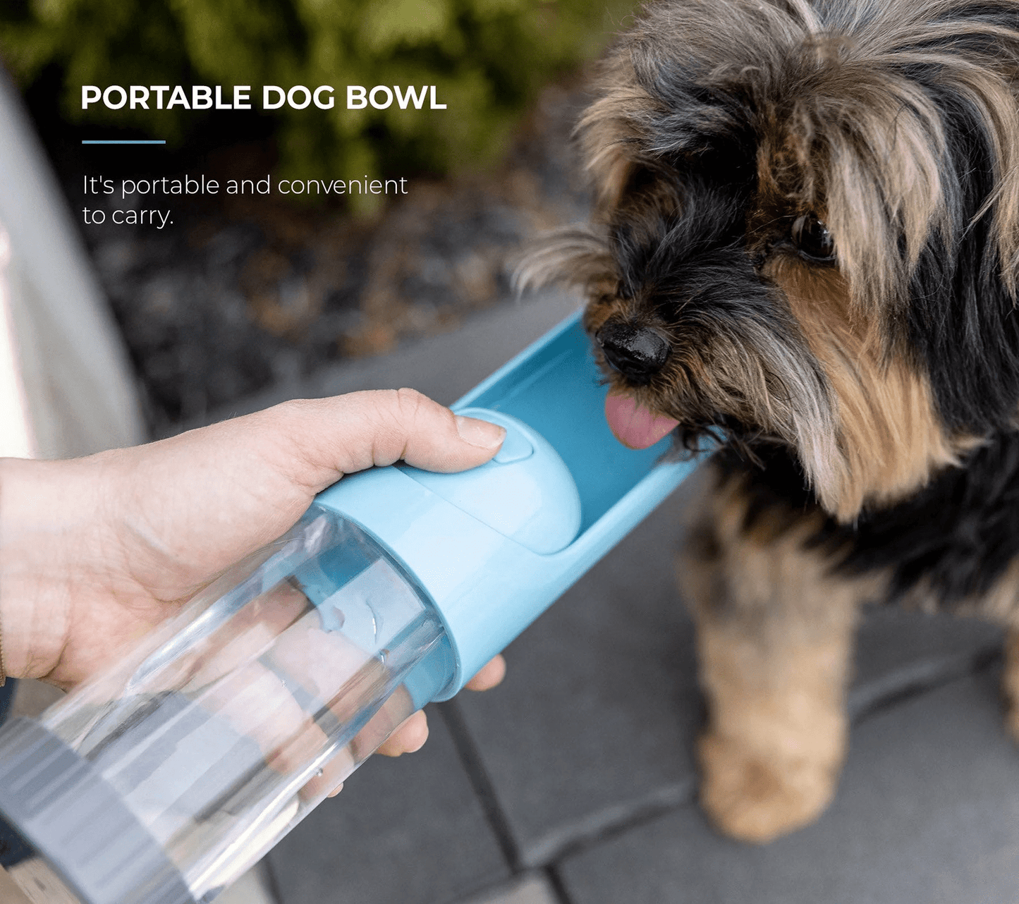 Dog and Pet Stuff Default Portable Dog Water Bottle- with Charcoal Filter