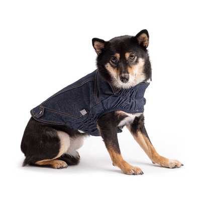 Dog and Pet Stuff Denim Jacket - Denim Blue