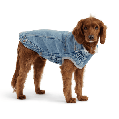 Dog and Pet Stuff Denim Jacket - Light Wash