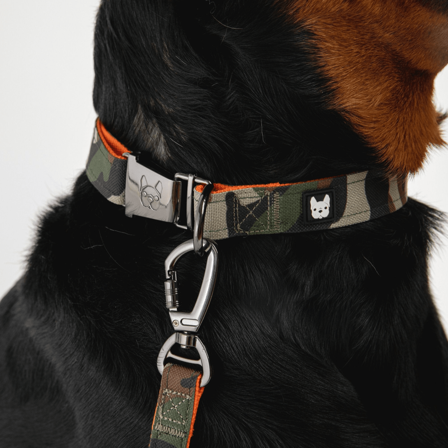 Dog and Pet Stuff Dog Collar - Camo