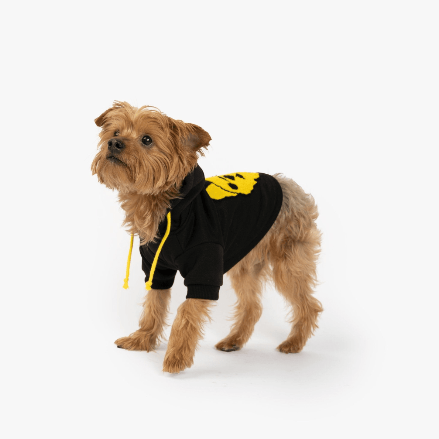 Dog and Pet Stuff Dog Hoodie