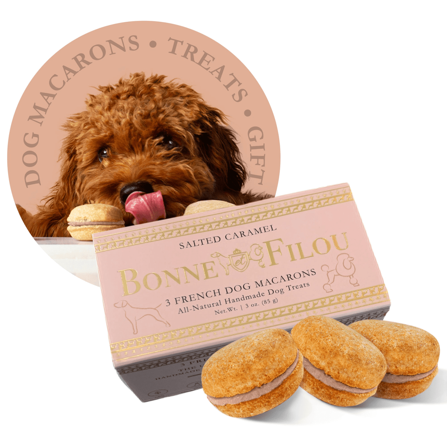 Dog and Pet Stuff Dog Macarons (Box of 3)