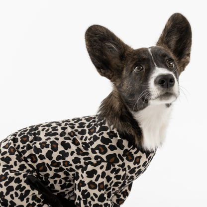Dog and Pet Stuff Dog Pajama - Leopard
