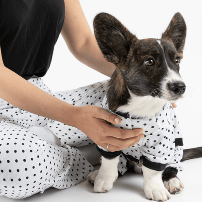 Dog and Pet Stuff Dog Pajama - Polka Dot