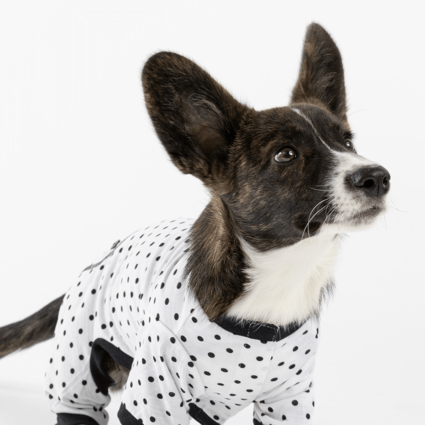 Dog and Pet Stuff Dog Pajama - Polka Dot