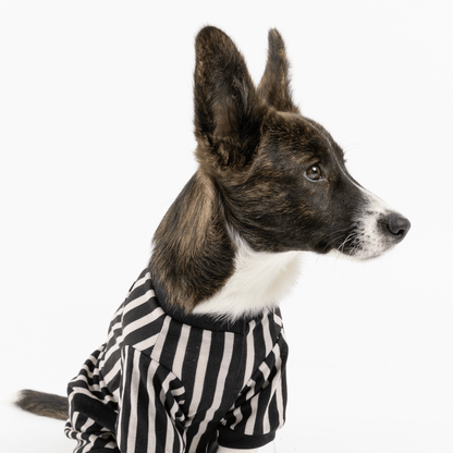 Dog and Pet Stuff Dog Pajama - Stripe