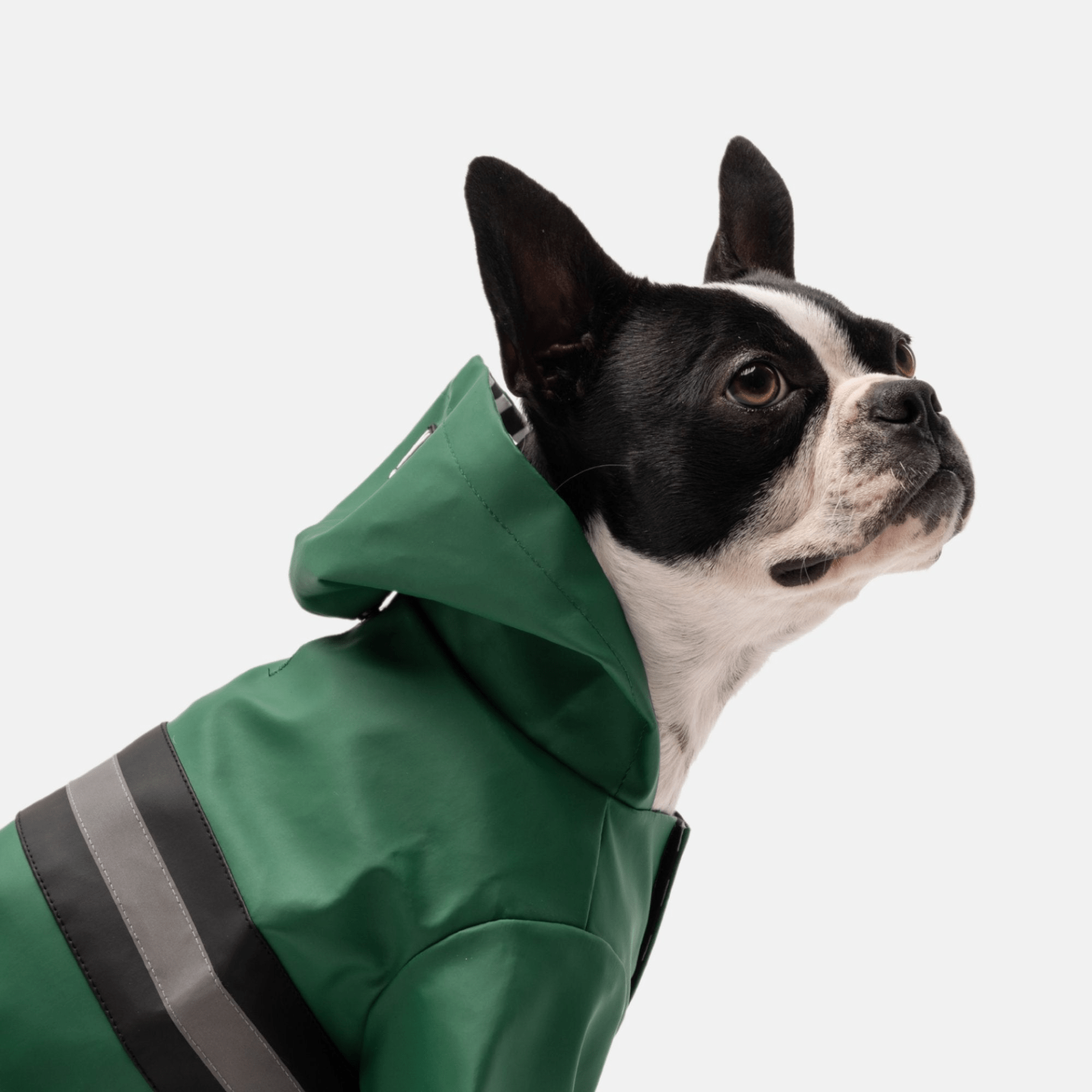 Dog and Pet Stuff Dog Raincoat - Green