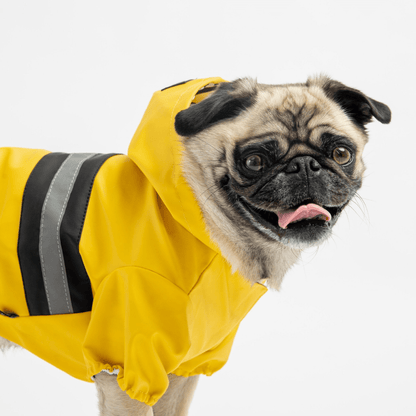 Dog and Pet Stuff Dog Raincoat - Yellow