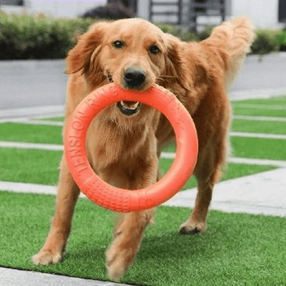 Dog and Pet Stuff Dog Ring Toy