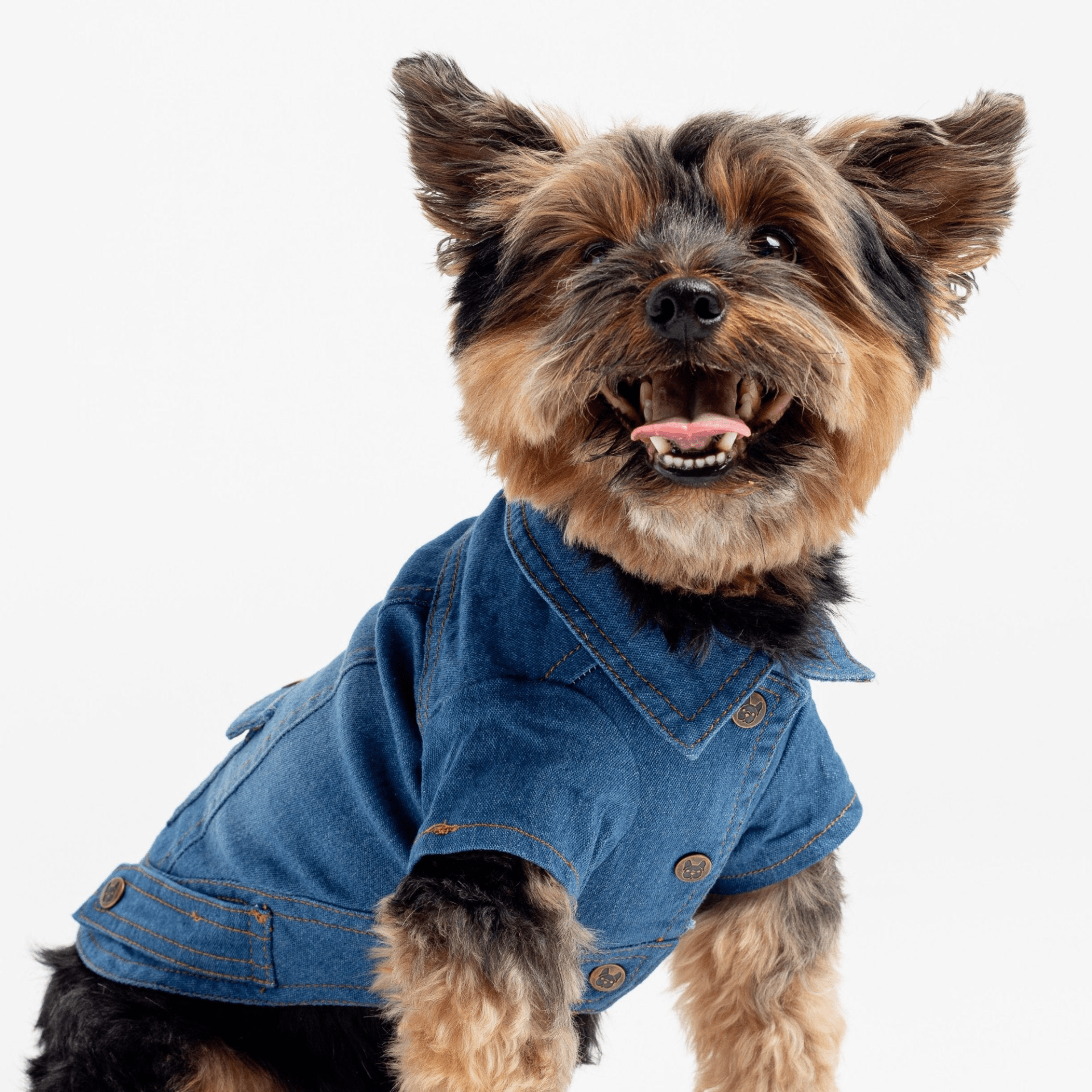 Dog and Pet Stuff Dusten Denim Dog Jacket