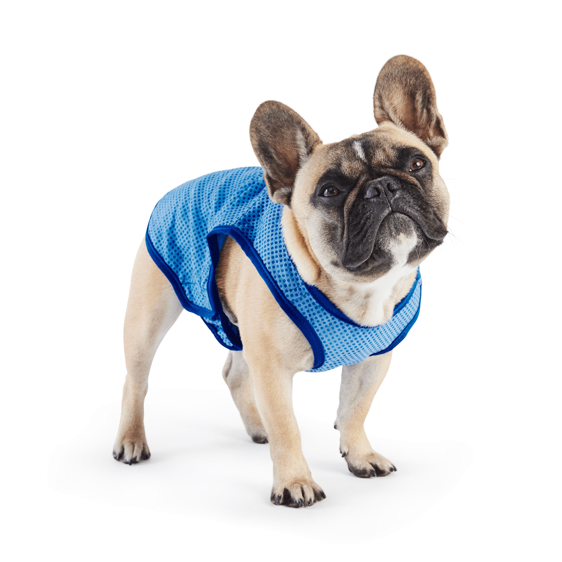 Dog and Pet Stuff Elasto-Fit Ice Vest