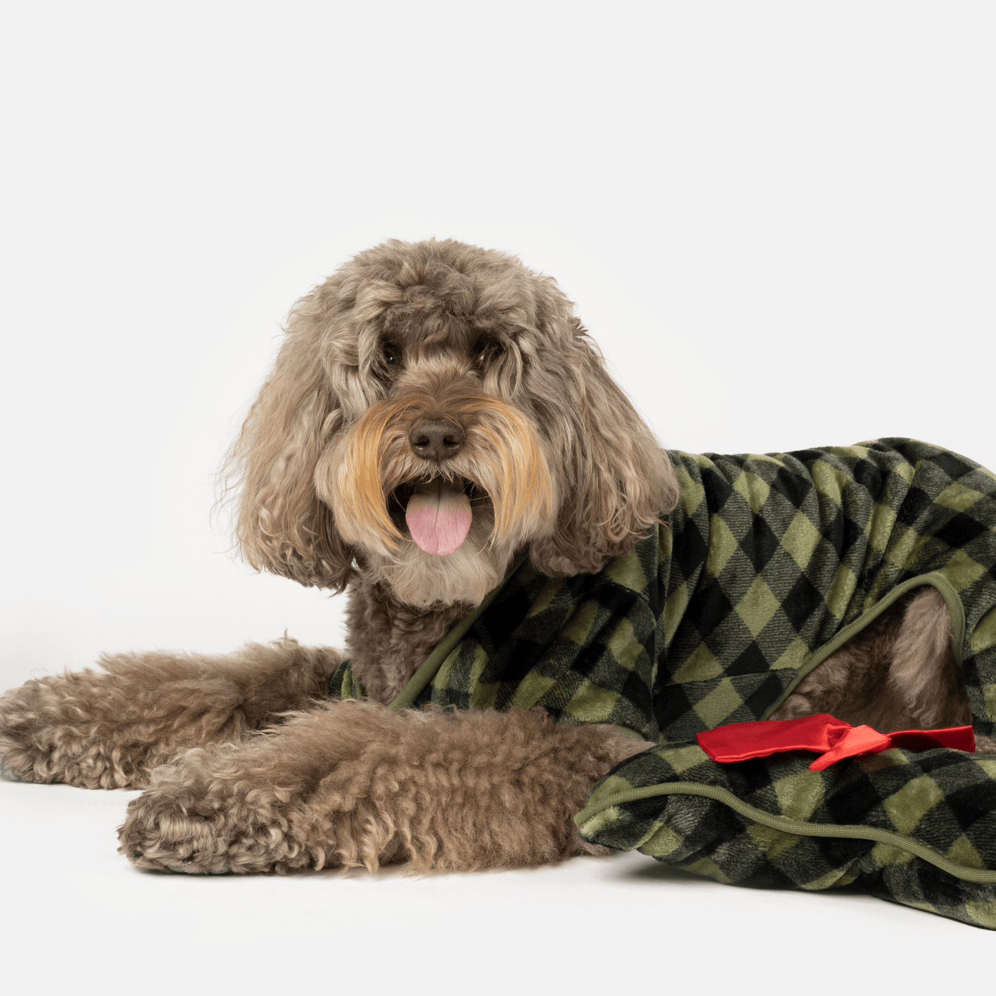 Dog and Pet Stuff Elf Dog Pjs & Stocking Set - Green Plaid