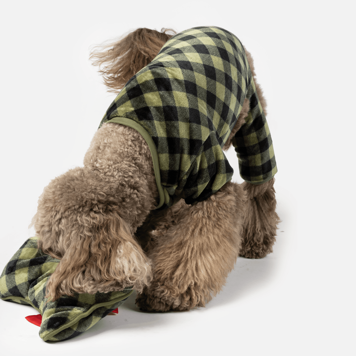 Dog and Pet Stuff Elf Dog Pjs & Stocking Set - Green Plaid