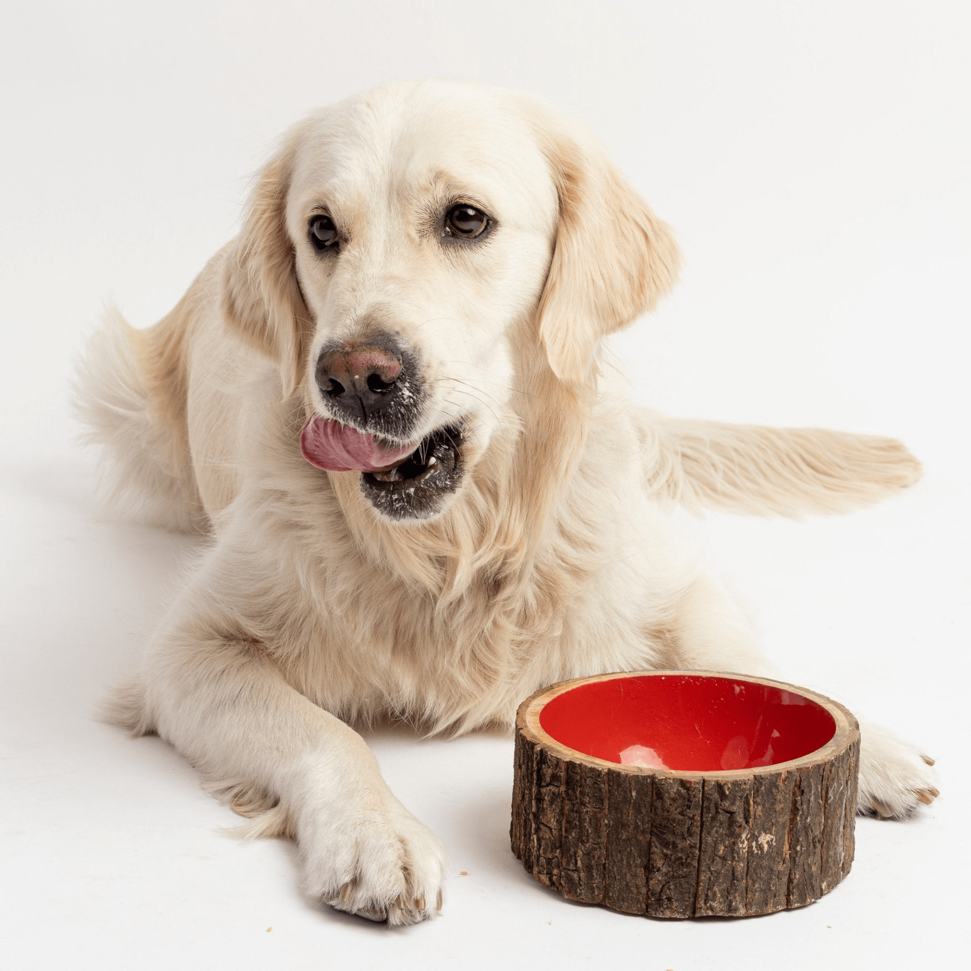 Dog and Pet Stuff Farmhouse Wood Dog Bowl