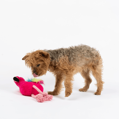 Dog and Pet Stuff Flamingo Dog Toy