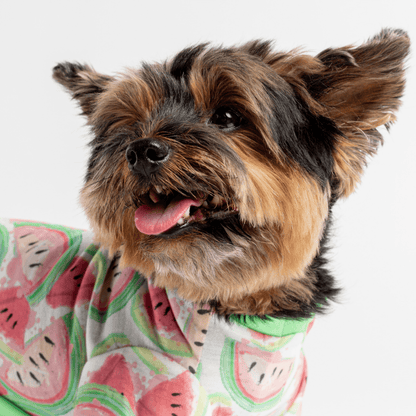Dog and Pet Stuff Fruit Dog Pajama - Watermelon