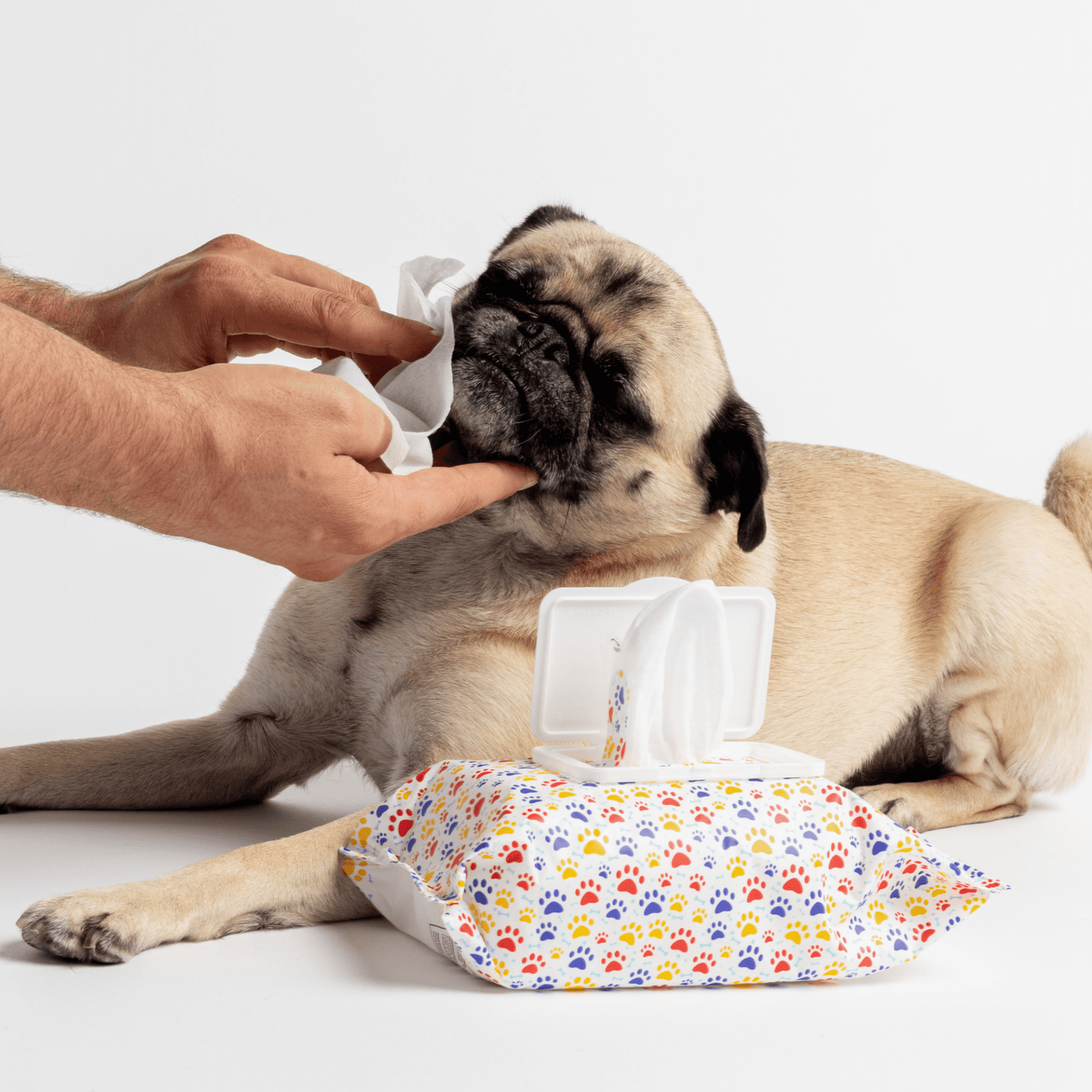 Dog and Pet Stuff Get Fresh Dog Wipes - Citrus - 100ct