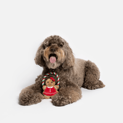 Dog and Pet Stuff Ginger Bread Lady Dog Toy