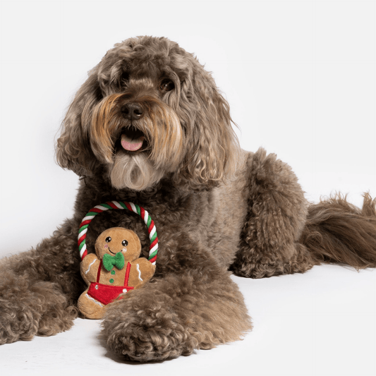 Dog and Pet Stuff Ginger Bread Man Dog Toy