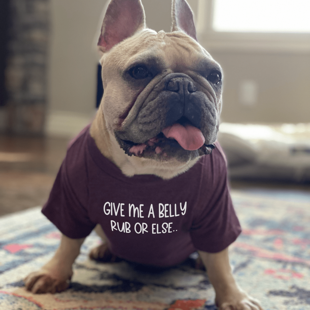 Dog and Pet Stuff Give me Belly Rubs Dog Shirt