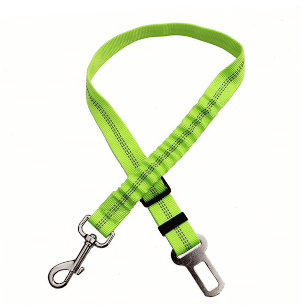 Dog and Pet Stuff Green Car Elastic Safety Leash