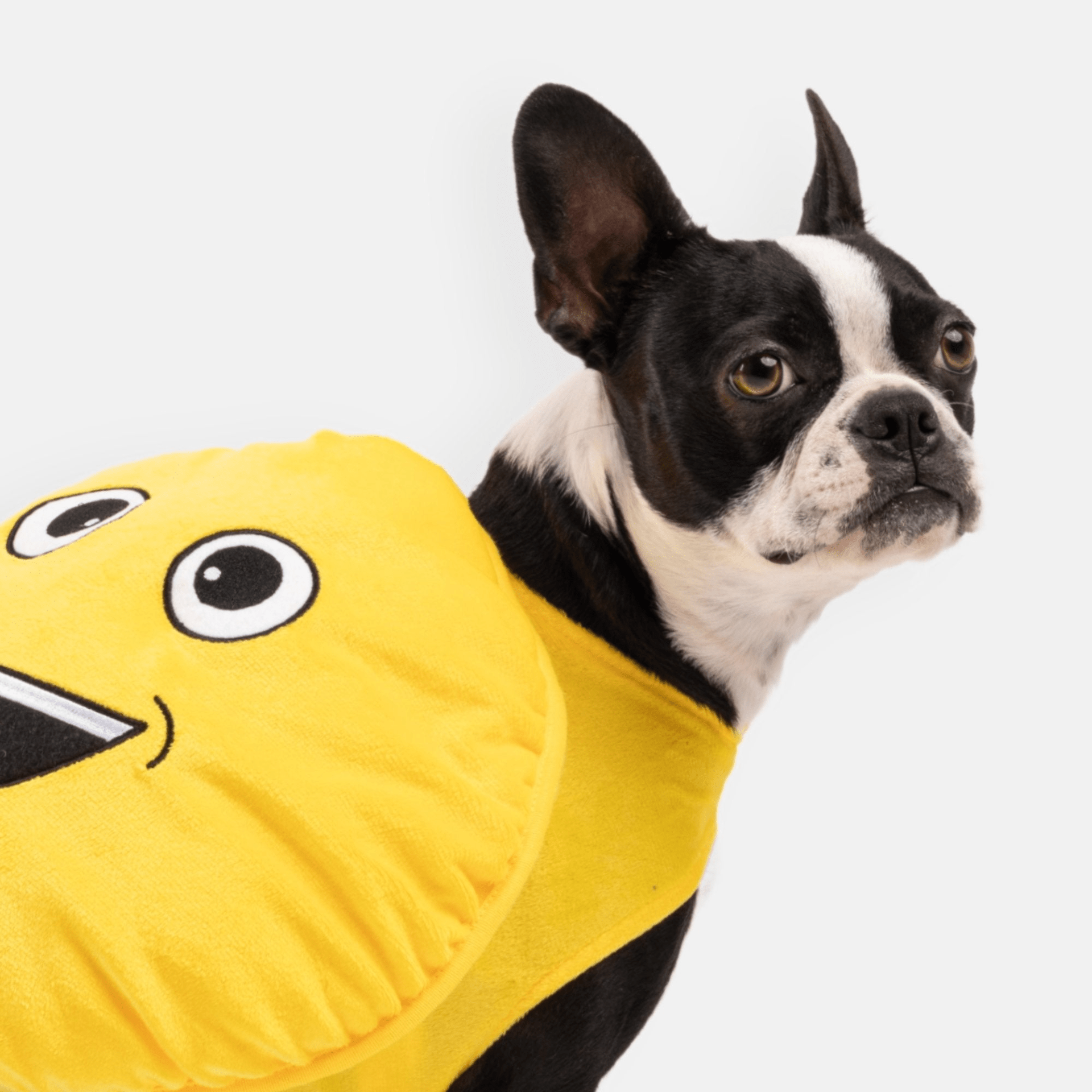 Dog and Pet Stuff Happy Face Dog Costume