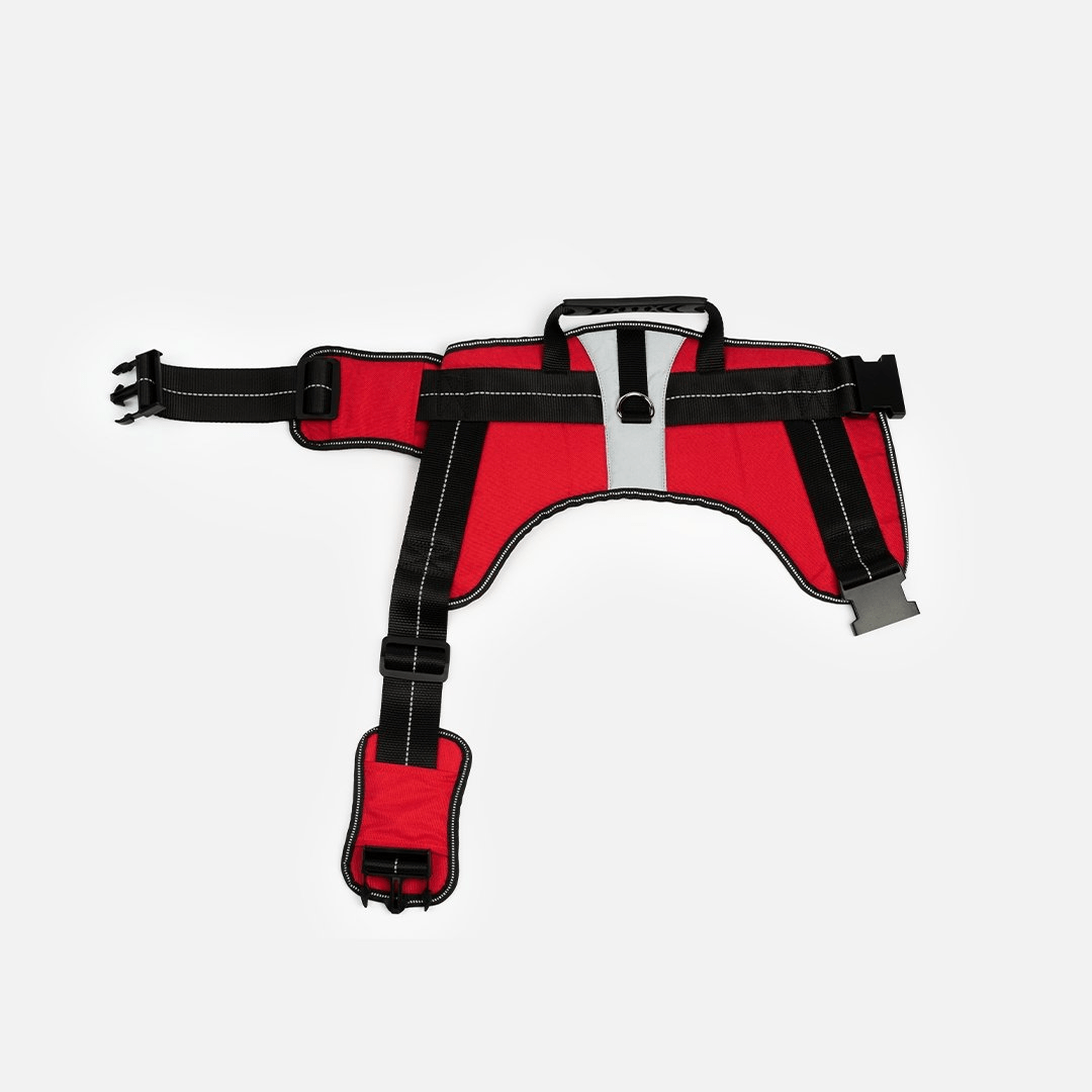 Dog and Pet Stuff Heavy Duty Harness Red