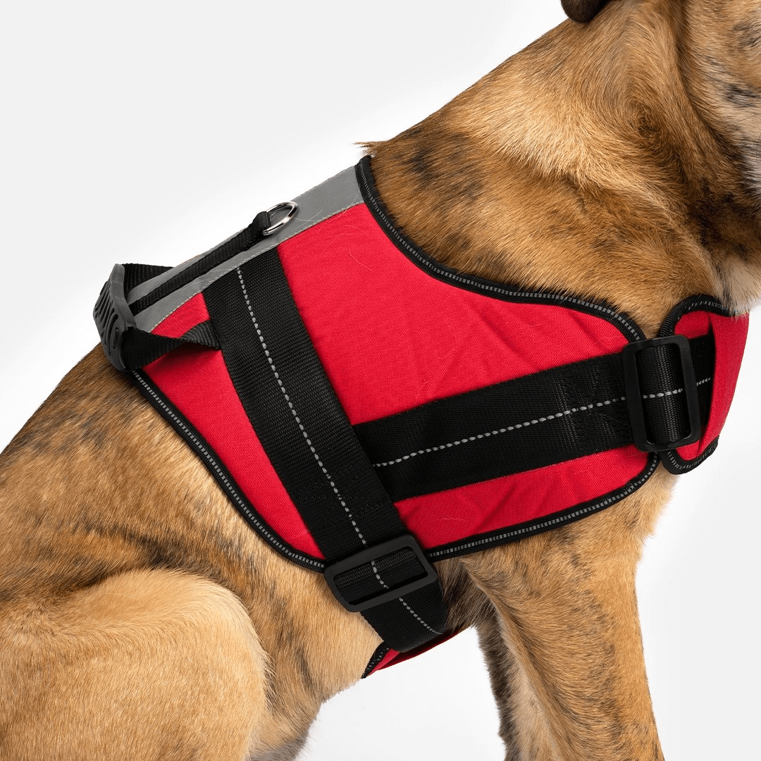 Dog and Pet Stuff Heavy Duty Harness Red