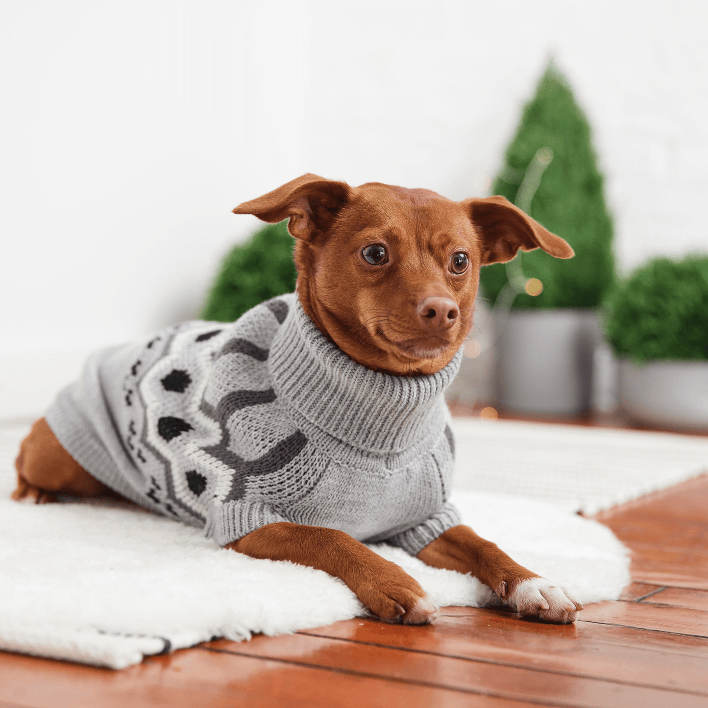 Dog and Pet Stuff Heritage Sweater - Grey Mix