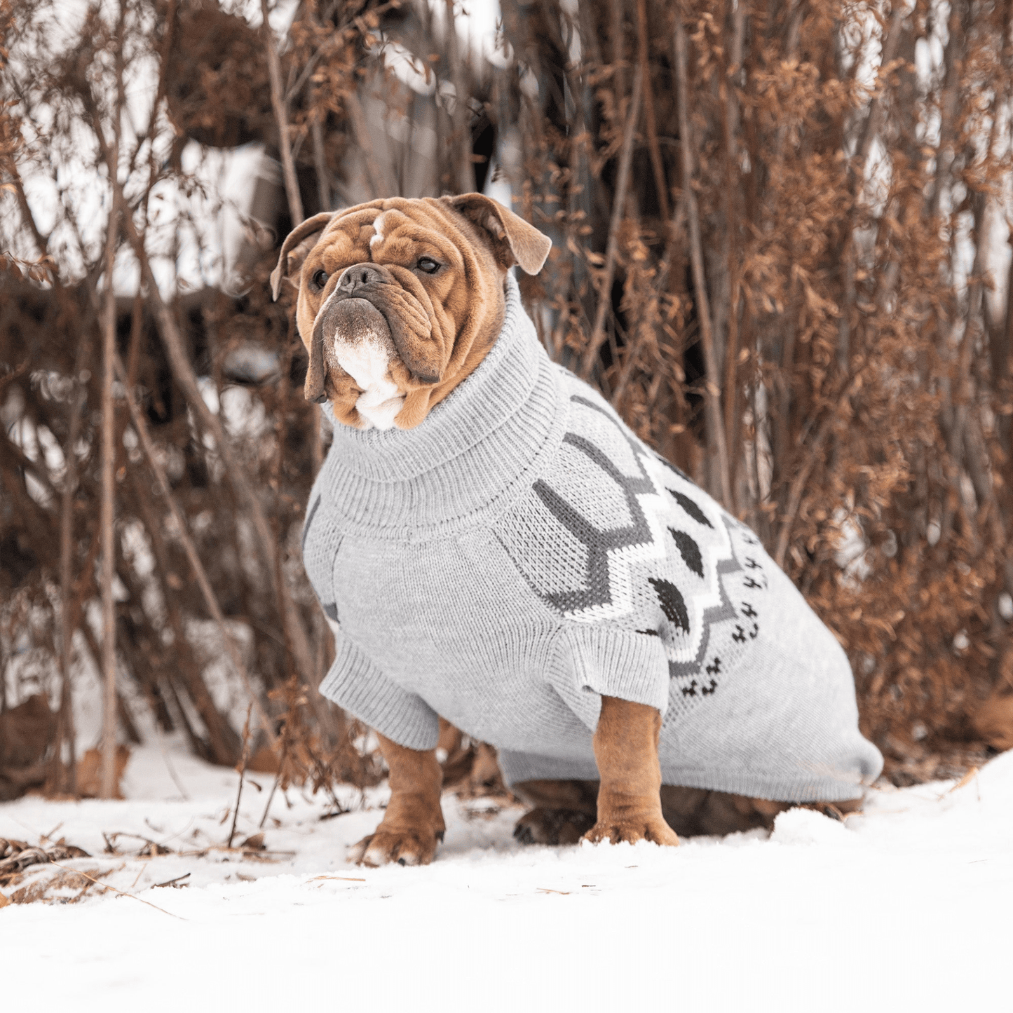 Dog and Pet Stuff Heritage Sweater - Grey Mix