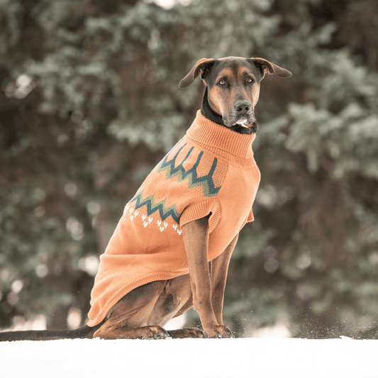 Dog and Pet Stuff Heritage Sweater - Hazel