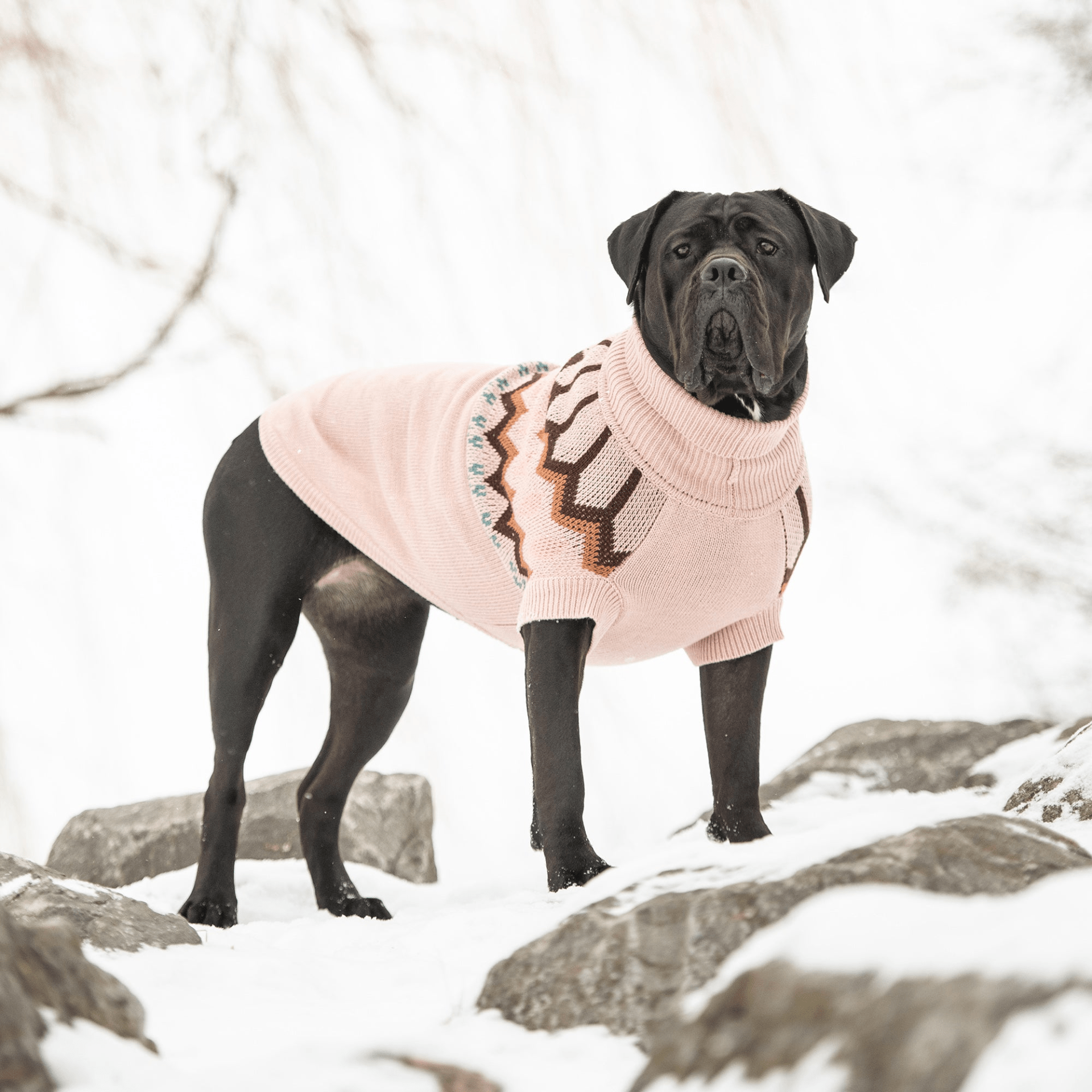 Dog and Pet Stuff Heritage Sweater - Pink