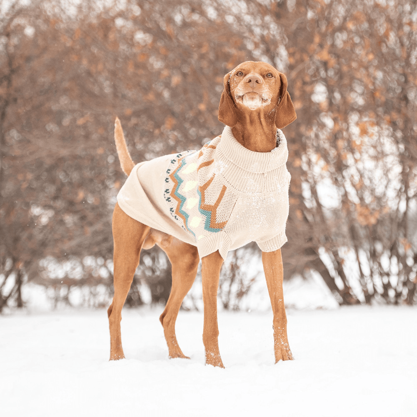 Dog and Pet Stuff Heritage Sweater - Sand