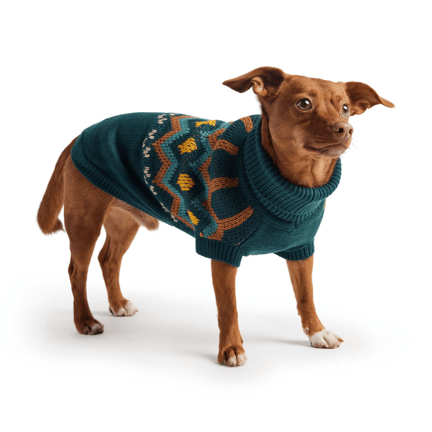 Dog and Pet Stuff Heritage Sweater - Teal