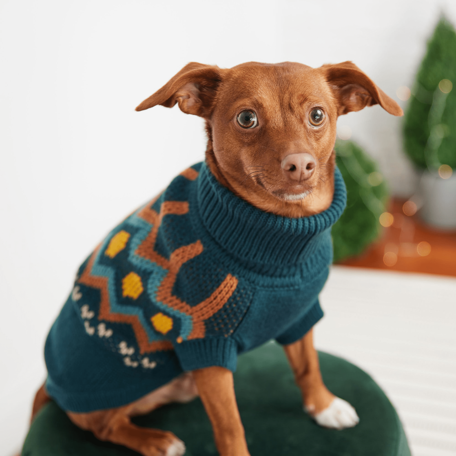 Dog and Pet Stuff Heritage Sweater - Teal