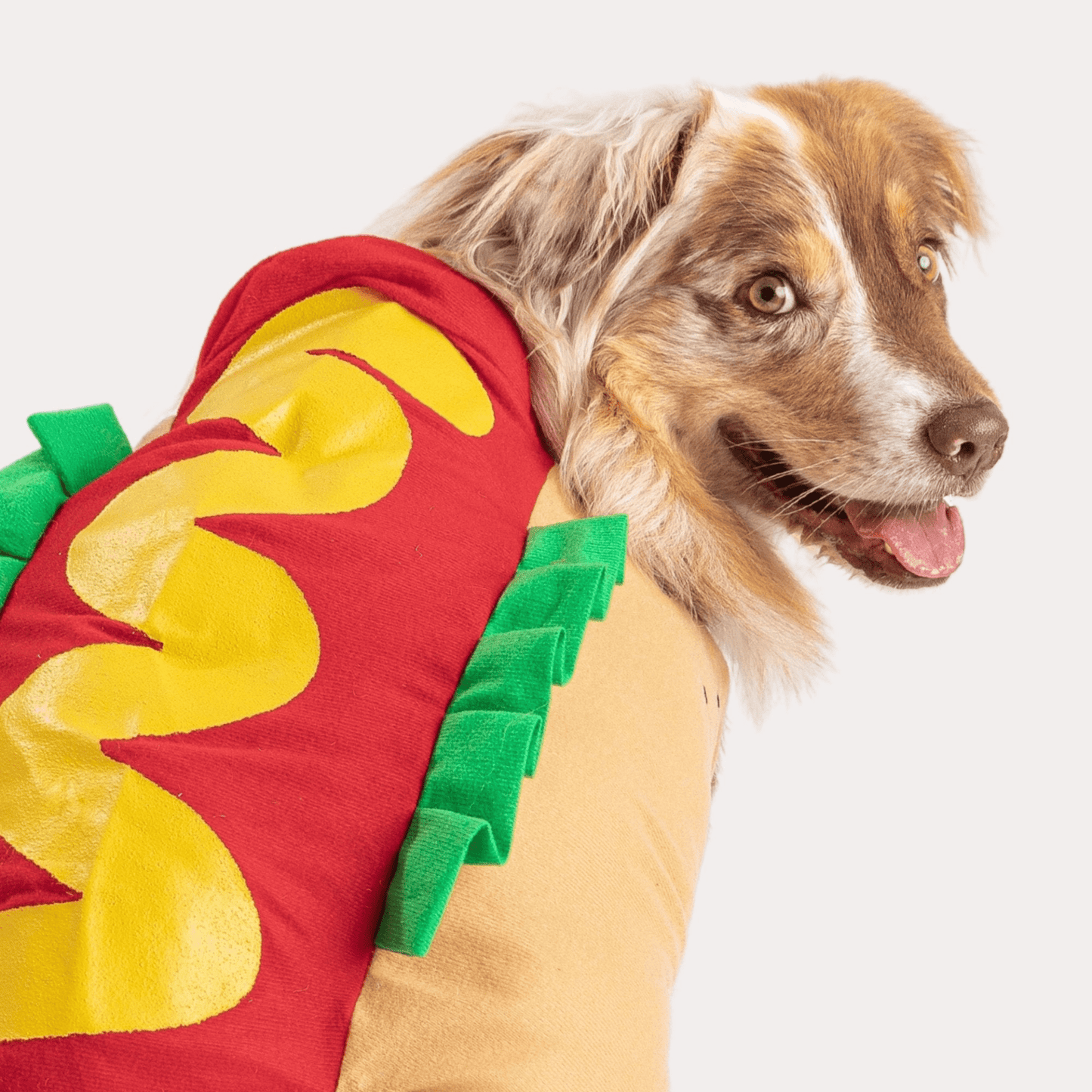 Dog and Pet Stuff Hot Dog Costume