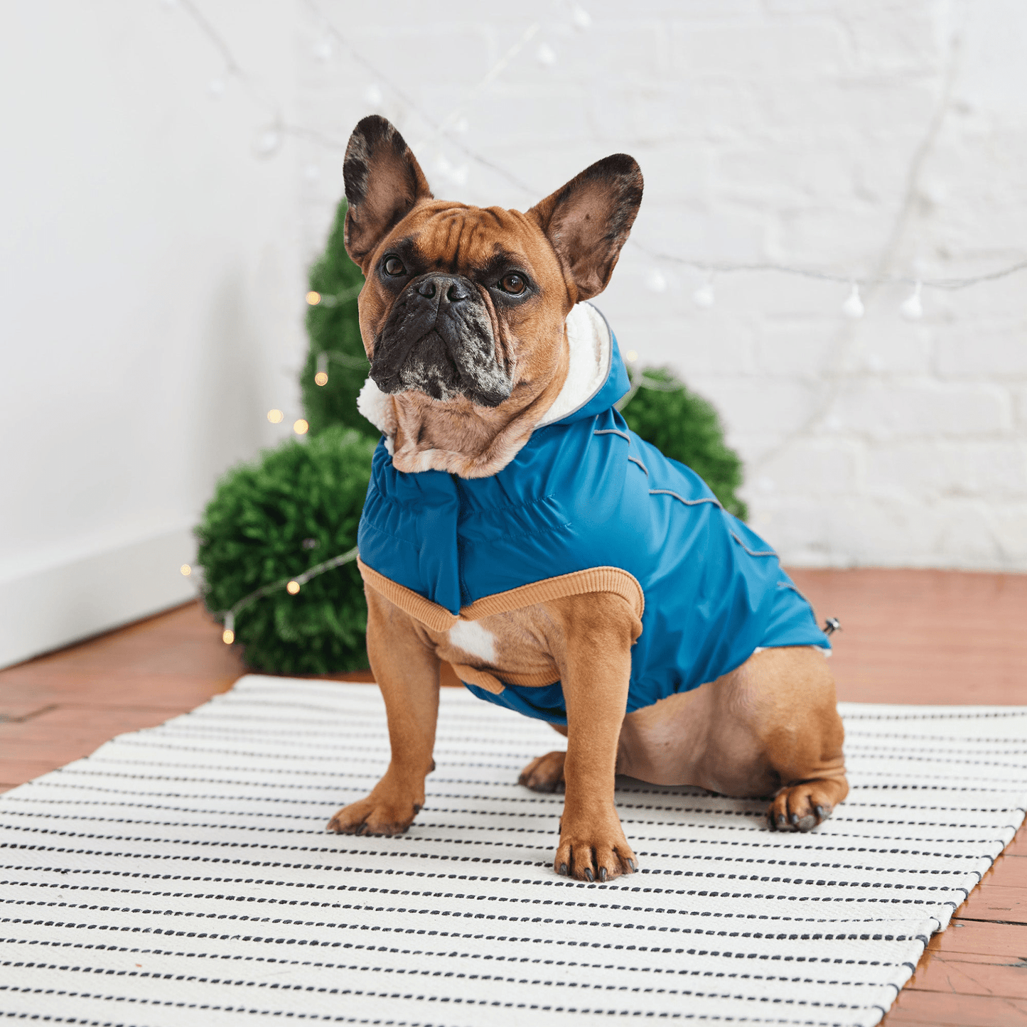 Dog and Pet Stuff Insulated Raincoat - Dark Blue