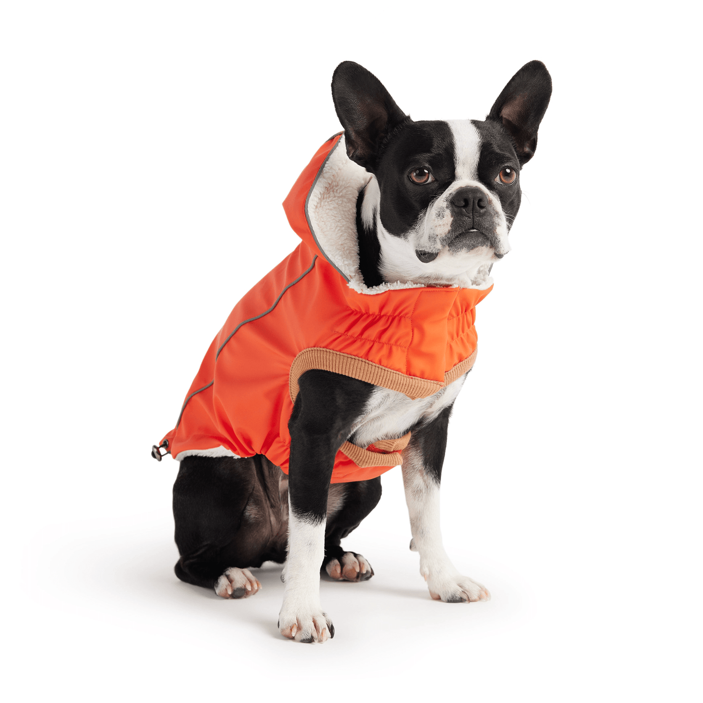 Dog and Pet Stuff Insulated Raincoat - Orange