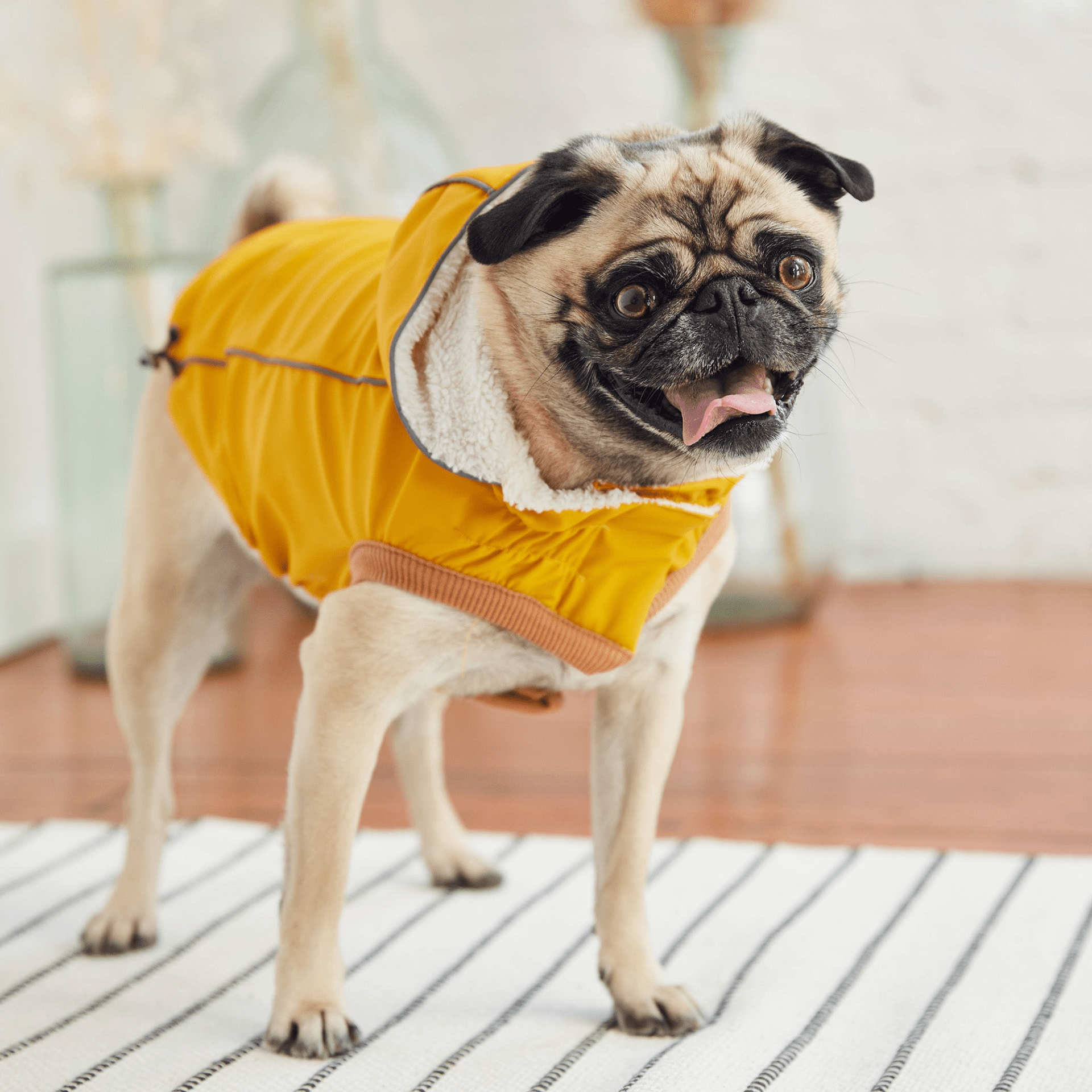 Dog and Pet Stuff Insulated Raincoat - Yellow