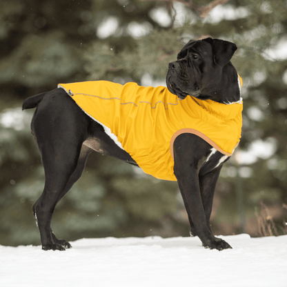 Dog and Pet Stuff Insulated Raincoat - Yellow